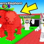 Consigue tu servidor privado Brainrot